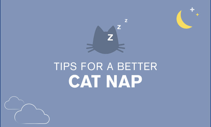 Tips for a Better Cat Nap