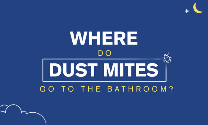 Where Do Dust Mites Go To The Bathroom?