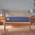 Sealy Golden Elegance C Bay Soft