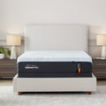 TEMPUR-ProAdapt Firm 2.0