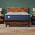 Sealy Golden Spirits Soft Euro Pillow Top
