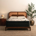 Bungalow Jumbo Pillow Top