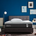 TEMPUR - Adapt Medium Hybrid Mattress Previous Generation