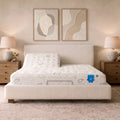 PranaSleep Asha Luxe Medium 3.0 Mattress Split Head
